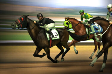 Top Online Horse Racing Betting Sites In India