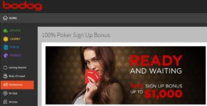 Bodog Ultimate Review