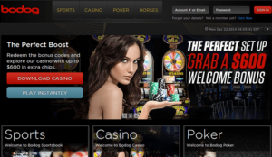 Bodog Ultimate Review